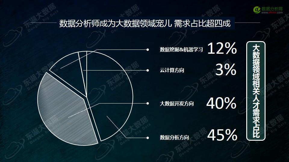 东湖大数据：2017年大数据分析师能力模型与企业需求报告-数据分析网